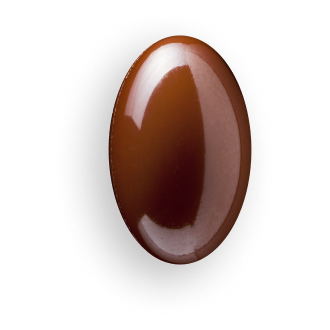 종합 비티민  (Multivitamin)